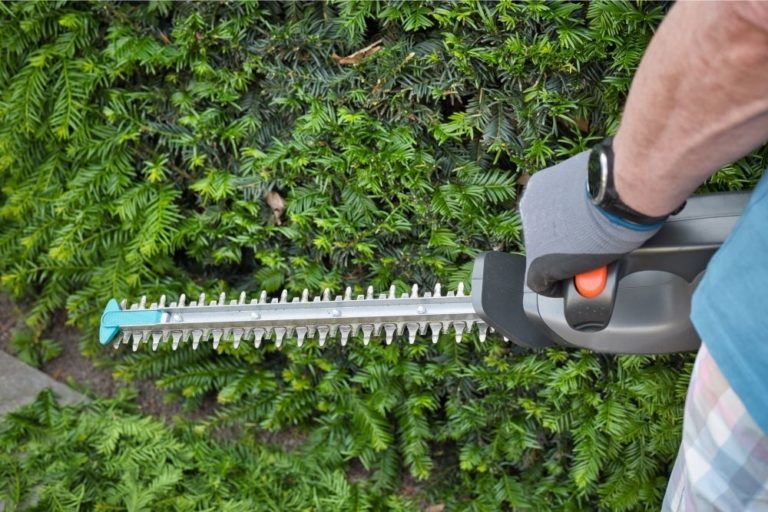 How to Sharpen Hedge Trimmers | DIY Garden™