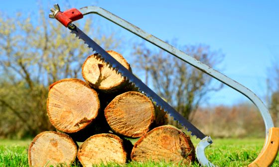 Bow Saw