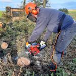 Einhell-GC-PC-2040-Petrol-Chainsaw-Review
