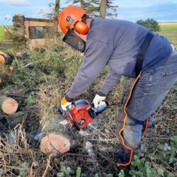 Einhell GC PC 2040 Petrol Chainsaw Review