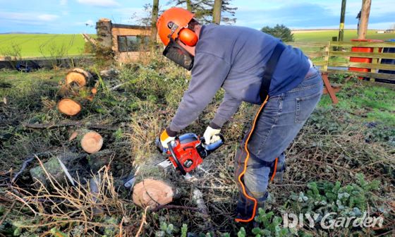 Einhell-GC-PC-2040-Petrol-Chainsaw-Review