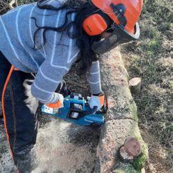 Makita DUC353Z Twin 18V Cordless Chainsaw Review