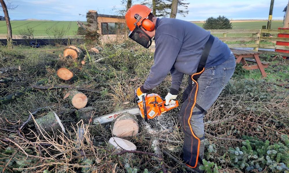 ParkerBrand 62CC Petrol Chainsaw Review