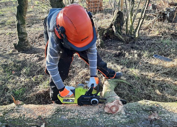 Ryobi ONE Cordless Chainsaw Tested 2024 Review UK