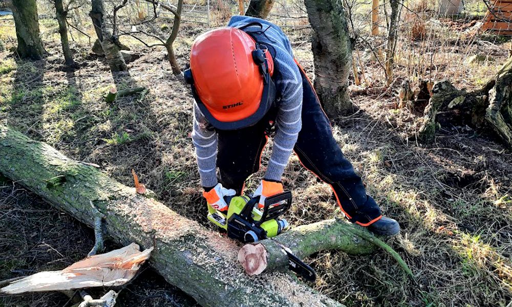 Ryobi-RCS1830-150-ONE+-Cordless-Chainsaw-Review