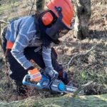WESCO-36V-Cordless-Chainsaw-Review