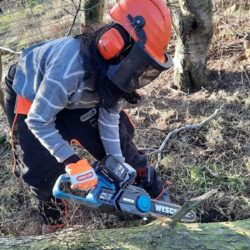 WESCO 36V Cordless Chainsaw Review