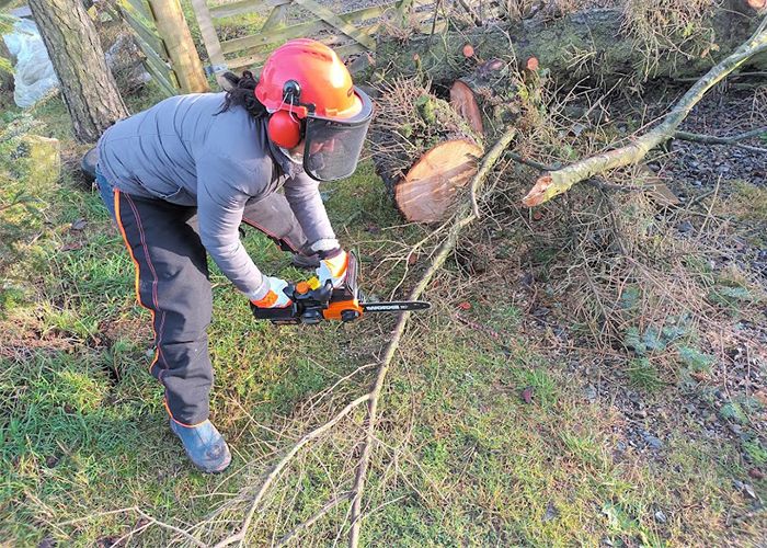 WORX WG322E Cordless Chainsaw Tested 2024 Review UK