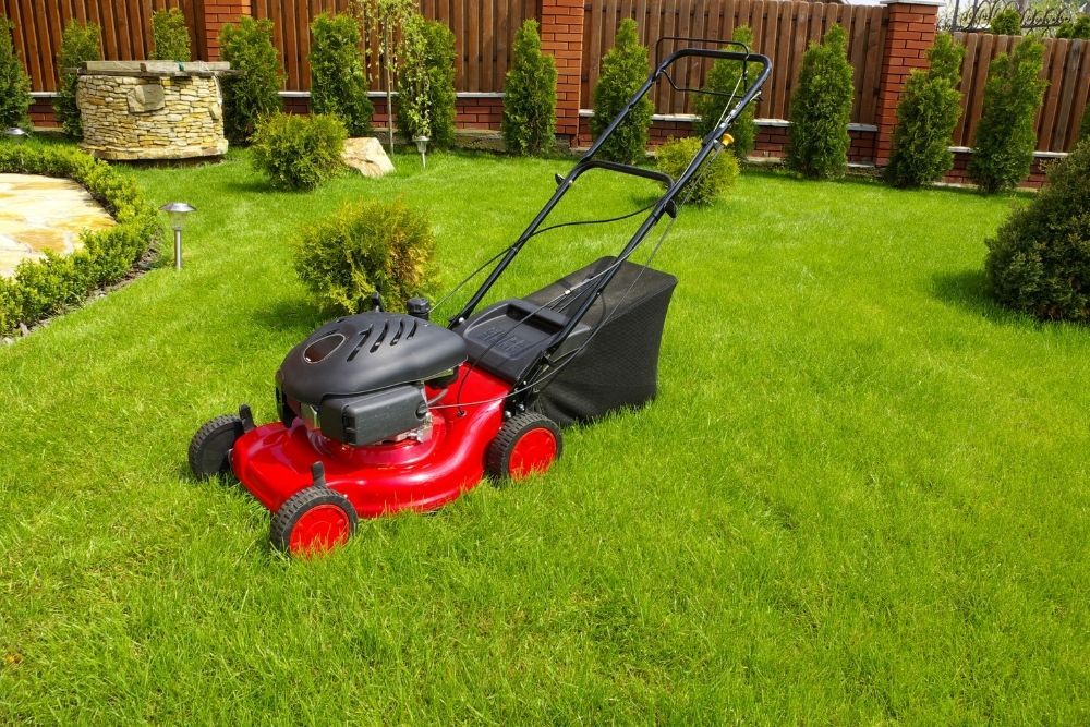lawn-mower-in-the-garden