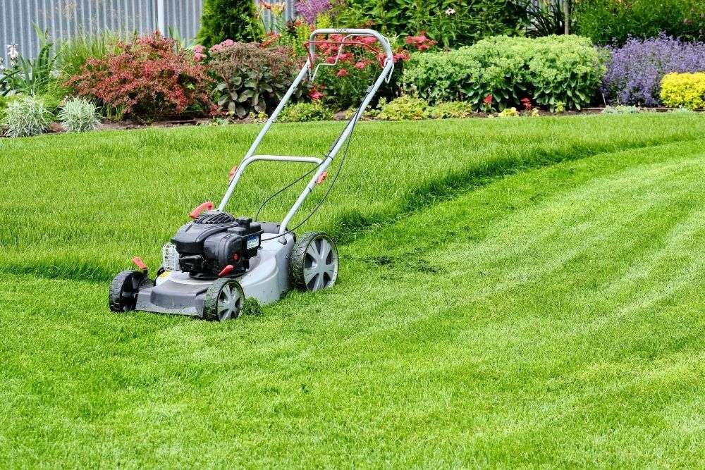 lawn-mower