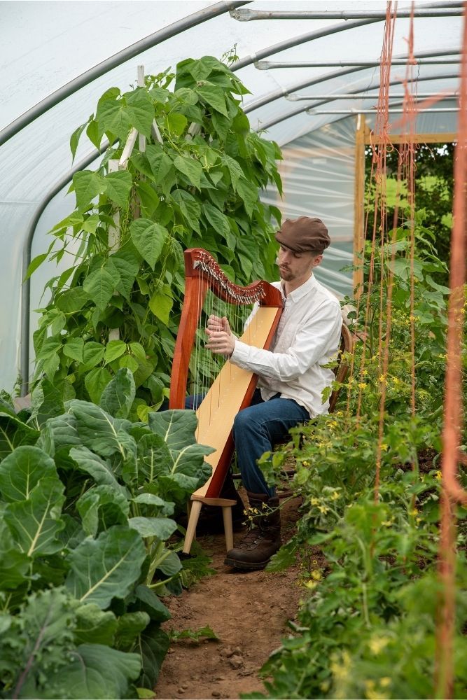 music-for-plants