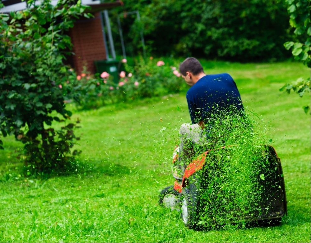 ride-on-lawn-mower