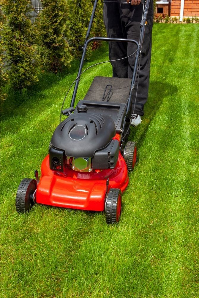 what-lawn-mower-size-do-i-need