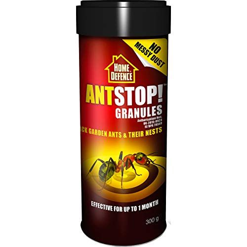 4 Best Ant Killers To Stop An Infestation 2026 Review Best Ant Killer Home Defence Ant Stop Granules 1650282262 