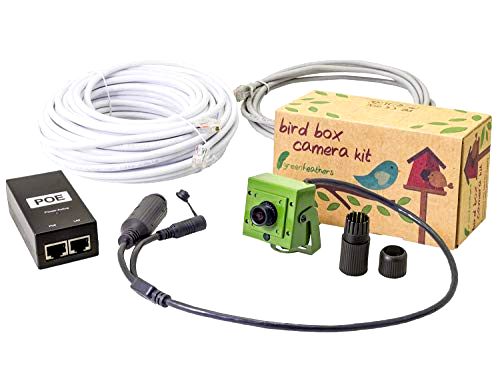best-bird-box-camera Green Feathers Bird Box Camera Kit