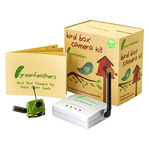 best-bird-box-camera Green Feathers Wireless Bird Box Camera with Night Vision