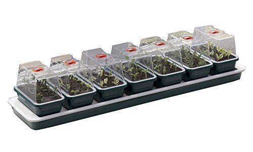 5 Best Heated Electric Propagators (Tested & Reviewed 2024)