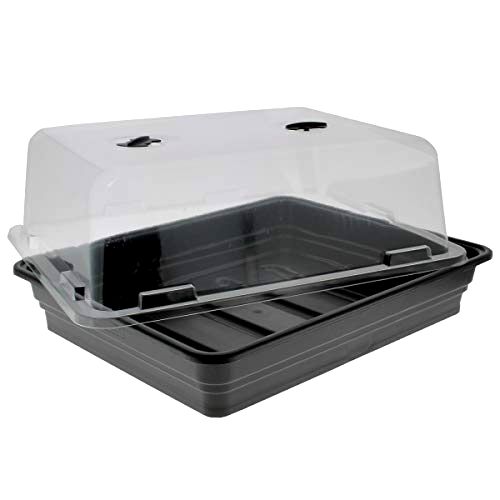 5 Best Heated Electric Propagators (Tested & Reviewed 2024)