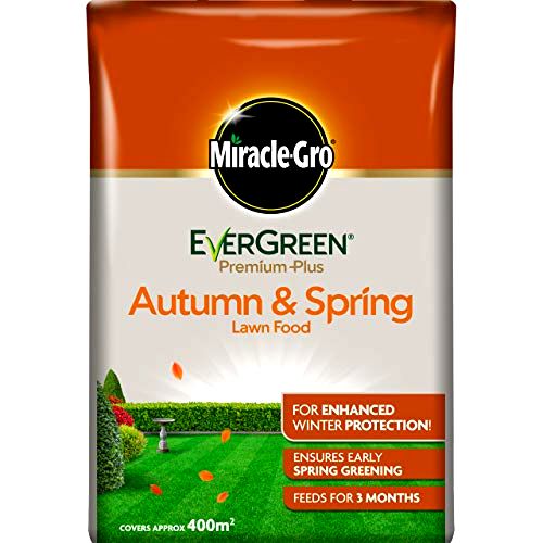 best-lawn-feed Miracle-Gro EverGreen Premium Plus Lawn Food