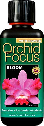 best-orchid-food Growth Technology Orchid Focus Bloom