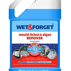 best patio cleaner Wet & Forget Moss Mould Lichen & Algae Remover