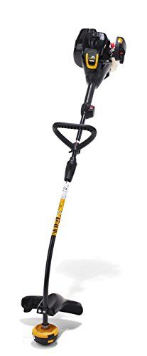 5 Best Petrol Strimmers to Buy (2022 