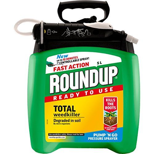 10 Best Weed Killers Of 2023 (Strongest Tested UK Solutions)