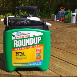 Roundup Fast Action Weedkiller Pump 'N Go Ready To Use Spray Review