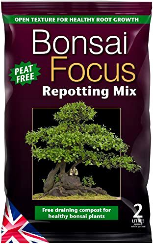 best-bonsai-potting-compost-mix Bonsai Focus Repotting Mix