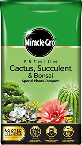 best-bonsai-potting-compost-mix Miracle-Gro Cactus, Succulent & Bonsai Compost