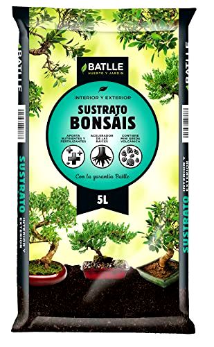 best-bonsai-potting-compost-mix Semillas Batlle Bonsai Compost Soil