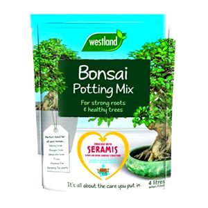 best-bonsai-potting-compost-mix Westland Bonsai Potting Compost Mix