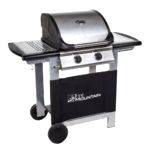 best gas bbq Fire Mountain Everest 2 Burner Gas Barbecue