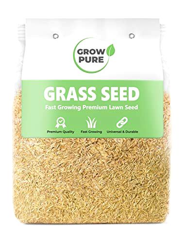 best-grass-seed-for-shade Grow Pure Fast Growing Premium Lawn Seed