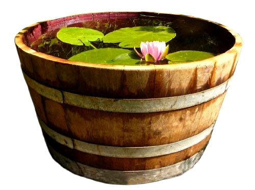 best-half-barrel-planters Temesso Wine Barrel Solid Oak Barrel Planter
