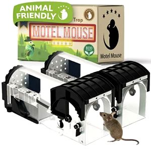 best-humane-mouse-traps Motel Mouse Store Humane Mouse Trap