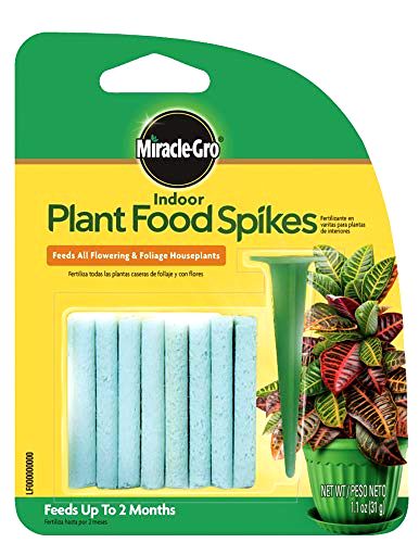 best-indoor-plant-food Miracle-Gro Indoor Plant Food Spike
