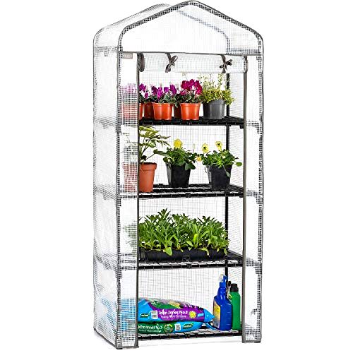 best-pop-up-greenhouse CHRISTOW Mini Pop Up Greenhouse