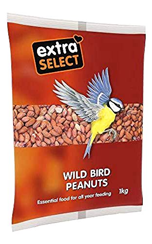 best-wild-bird-food Extra Select Peanuts Wild Bird Food