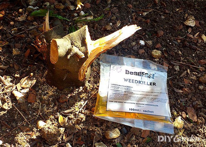 Deadfast-Concentrated-Weed-Killer-Sachets-Review-on-tree-stump2