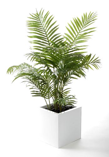 best-artificial-plant 4ft Areca Palm Tree