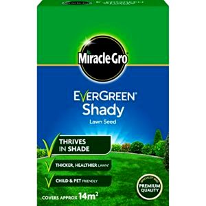 best-grass-seed-for-shade Miracle-Gro EverGreen Shady Lawn Seed
