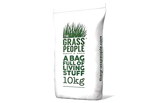 best-grass-seed-for-shade The Grass People Hard Wearing Grass Seed