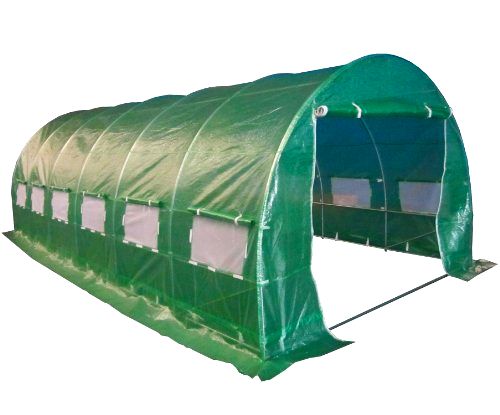 best-polytunnels-for-allotment Birchtree Polytunnel (6 x 3 x 2 m)