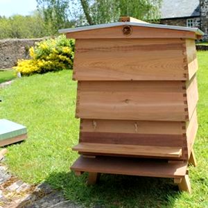 best-beehive-for-beginners Easipet WBC Bee Hive