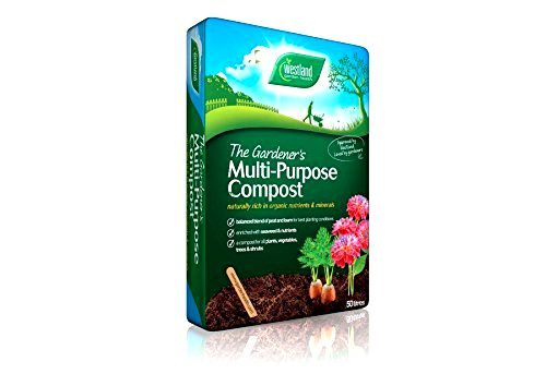 best-composts-for-chilli-plants Westland 90L Gardener's Multi-Purpose Compost