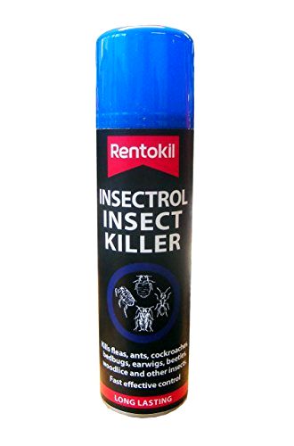 best-fly-killer-sprays Rentokil Fly Killer Spray