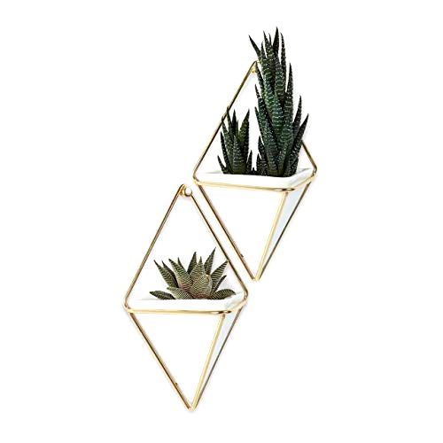 best-hanging-planter Umbra Trigg Hanging Planter Vase and Container