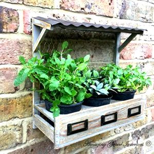 best-herb-planters Shabby Chic Vintage Style Wooden Wall Garden Planter
