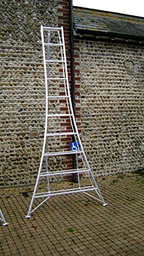 best-tripod-ladder Estate to Garden Tripod Ladder 3m Aluminium
